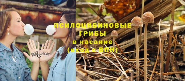 метадон Рославль